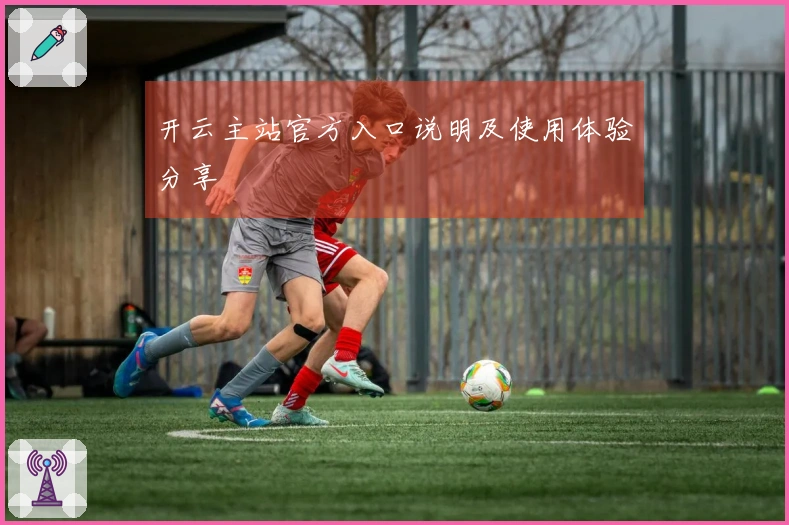 开云主站官方入口说明及使用体验分享